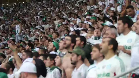 Daria a vida inteira pra ser campeão 🏆 #foryou #foryoupage #manchaverde #palmeiras 