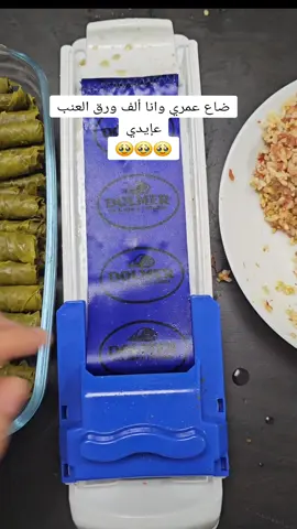 ليش ما حدا نصحني بالماكينة من قبل  😭😭😭 #viral #foryoupage #explore #ورق_عنب طريقة لف ورق العنب  #viral #فيينا_النمسا #explorepage #thingstodo #explore #explore #فيينا_النمسا🇦🇹 #vienna #ترند #vienna 
