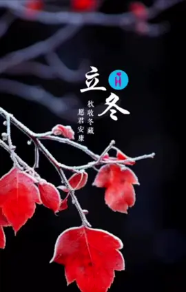 “立冬” 秋收冬藏，願君安康 11月7日6點立冬，願你有衣暖身，有人暖心。喜樂安康，順遂無恙！ #二十四節氣 ❤️  #立冬 #有你真好HEART❤️