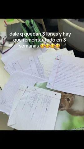 #fyppppppppppppppppppppp #paratiiiiiiiiiiiiiiiiiiiiiiiiiiiiiii #foryoupage❤️❤️ #fouryou #colegio #estudiantes 