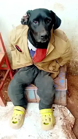 @👑HASNAIN KHATTAK 👑 @Danishktk @khan jee @Altaf koko @Israr King 