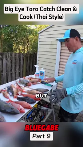 Big Eye Toro Catch Clean _ Cook  (Thai Style) #bluegabe#fishinggirl#fishingvideo#virul#bluegabe80#fish#fypシ#fishing#catching#bigfish #kellyyoung #camping