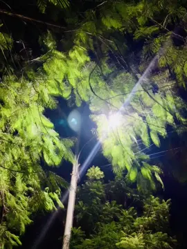 মায়া সবার প্রতি আসে না :কিন্তু যার প্রতি আসে সে বোঝে না