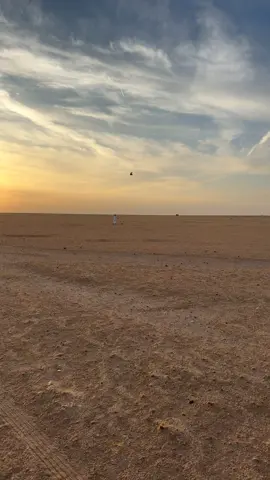 #اكسبلورر #طيور #صقاقير_الخليج 