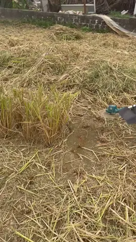 Máy cắt cỏ chạy pin makita 40v không chổi than, công suất 2400w, động cơ không chổi than#xh #xuhuong #nhacuadoisong #hangmoive #maycatco #maycatcopin #maycatcochaypin #maycatcodungpin 