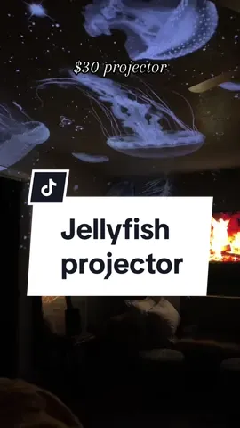 VanSmaGo Galaxy Projector in TikTok shop! $30 is so worth it! It’s so beautiful to look at & such relaxing sounds! Me & the hubs love this so much!#projector #jellyfish #galaxyprojector #christmas #toysforkids #tiktokshopblackfriday #tiktokshopcybermonday #falldealsforyou #holidayhaul 