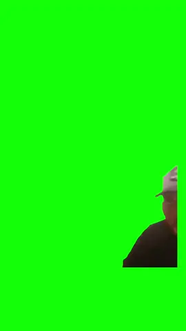 Im back did you miss me meme green screen #discord #protemplate #keepup #greenscreen#fyp #thanksgiving #turkey #memes #trump 