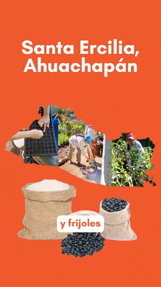 ¿Cómo una comunidad en Ahuachapán logró superar la dieta de frijoles y arroz? 🔍 Con un huerto comunitario y una radio manejada por bluetooth, las mujeres de la comunidad Santa Ercilia han logrado incorporar verduras y frutas a su dieta. 📻🥔🍅 📌 Este reportaje se realizó con el apoyo del Fondo para el Periodismo de Soluciones en Latinoamérica, una iniciativa de El Colectivo 506. El reportaje se publicó en colaboración entre Proyecto Lava y El Colectivo 506 en noviembre del 2024. #ElSalvador #ProyectoLava #PeriodismoDeSoluciones