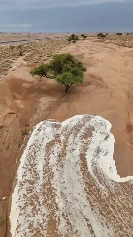 #اكسبلورexplore_o_الهشتاقات 