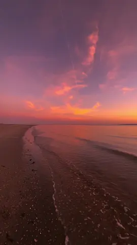 In a world full of chaos the ocean can still be calm 🌊🌅 #creatorsearchinsights #beach #sunset #sunsets #sunshine #sun #sunrise #waves #chill #Summer #beachlife #dark #summervibes #sunsetlover #beachsunset #peaceful #sailorsong #outerbanks #calm #travel #relaxing 