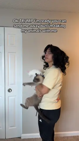 #fyp #foru #elections2024 #electionyear #results #paratii #paratiiii #latinacontentcreator #purocontenido #content #latinacreator 