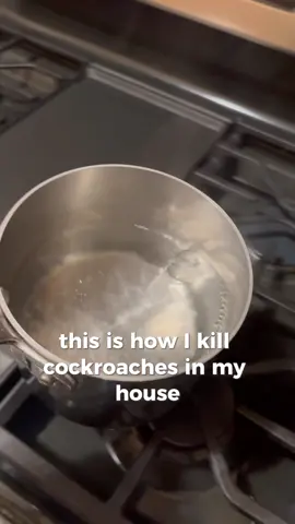 for my nyc girlies #bugrepellent #cleaningtips #cleankitchen 