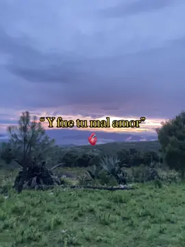 Y fue tu mal amor 📢#grupolaberinto #laberinto 