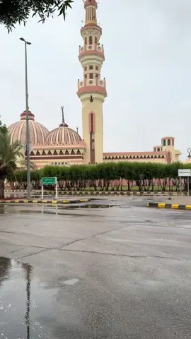 ‏اللهم ارحم من كان يُحب المطر و يستبشر خيراً عند قدومه ‏اللهم  أمطر على قبر خواتي من سحائب رحمتك و أجعل لهم في كل قطرة مطر رحمة و مغفرة. #القران  #عبدالله_موسى #عرعر #امطاراليوم 