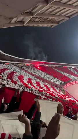 Koreografija navijača Crvene zvezde pred meč Lige šampiona Crvena zvezda - Barselona ⚽️#fkcz 