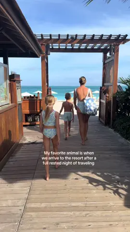 🌴☀️ #lainsnowswim 