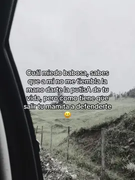 Y mentira no es 😆🗿#sies#indirectas  