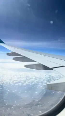 Play by the rule, But be ferocious #businessowner #businesstips #businessman #dubai🇦🇪 