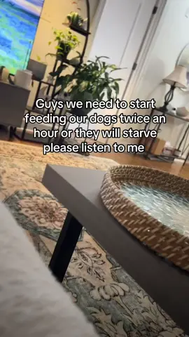 We are hungry! Also adding this in the caption as well as in the comments BUT I got this idea from @cabot 👼🏼 I just changed the wording yall thank u 💓💓👍🏻👍🏻