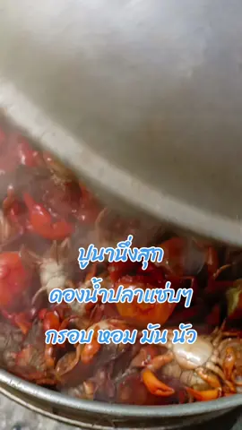 สำหรับคนที่ไม่ทานดิบจ้า #ปูนาดอง #ปูนา #ปูนาดองน้ำปลา #สินค้าตามฤดูกาล #ครัวคุณติ๋ม 