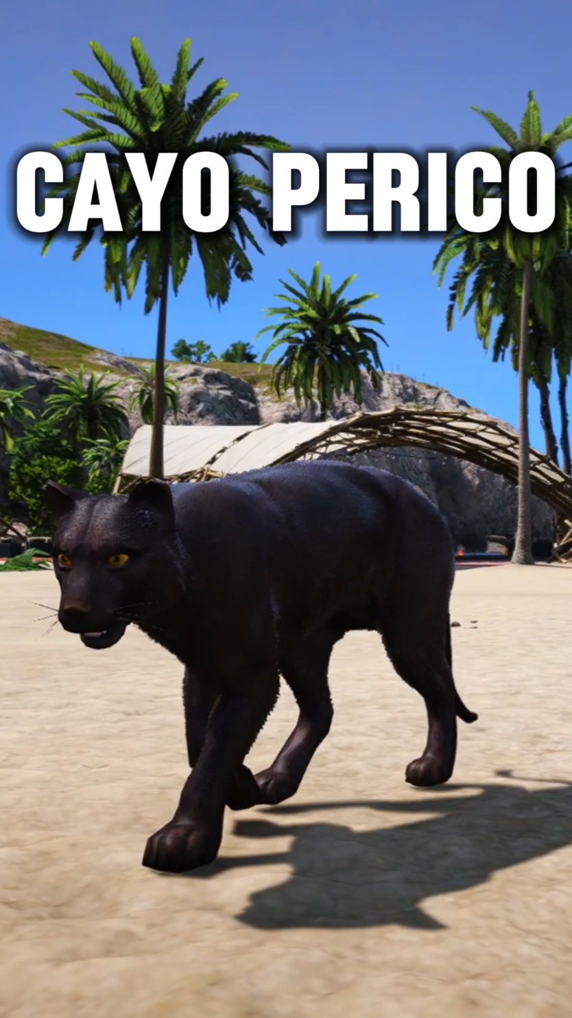 LA PANTERA REGRESA A GTA 5 ONLINE #gtav #gta #gta5 #gta5online #gtaonline #cayoperico #gtacayo #gtaviral #gtaonlinetiktok #gtaonlinev #gtaclips 