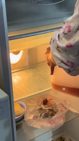 Dispenser air minum jus kulkas mini 3,5L #promoguncang1111 #dispenser #dispenserairkulkas 