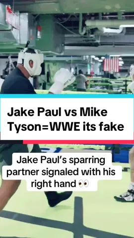 #stitch with @Knockout Chaos @Jake Paul #jakepaul #miketyson #foryou #fyp 