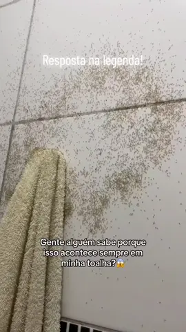Você sabe o motivo de tantas formigas em casa?
 Mesmo sem deixar nada doce no banheiro, esses pequenos insetos são atraídos por vestígios de sujeira ou até mesmo a umidade que fica na toalha após o uso. Formigas têm um olfato bem sensível e podem detectar cheiros de suor, óleos naturais da pele ou até resíduos de produtos como sabonetes e cremes.
 Embora pareçam inofensivos, isso pode ser um sinal de infestação! Se as formigas estão se multiplicando assim, é hora de agir antes que a situação piore.
 A Livinset resolve para você! Oferecemos dedetização profissional para manter seu lar seguro e livre de pragas. Agende agora e proteja sua saúde e bem-estar. #saude #bemestar #curiosidades 