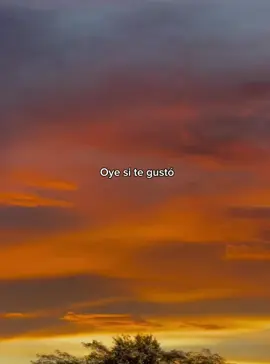 #mehacedañoverte #aesthetic #atardecer #paradedicar #letrasdecanciones #salsa #letras 