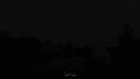 partie 1 | ( فِيهَا فَاكِهَةٌ وَالنَّخْلُ ذَاتُ الْأَكْمَامِ ) 😔🥀  - -  القارئ | جابر القيطان  سورة | الرحمان  _____________________________ #قران #قران_كريم #explore #جابر_القيطان #استغفرالله #سبحان_الله #oops_alhumdulelah #اجر_لي_ولكم #لا_اله_الا_الله #ارح_سمعك_بالقران #تلاوة_تريح_قلبك #اكتب_شي_توجر_عليه #اللهم_صلي_على_نبينا_محمد 