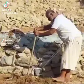 #الامارات_العربية_المتحده🇦🇪 