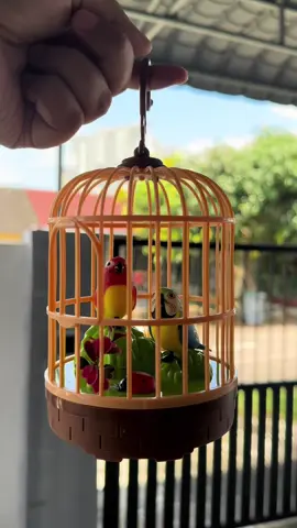 Pagi2 dah ngadap burung ni 🤣 #burungsangkarmainan #mainanunik 