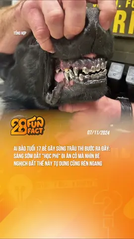 CỐNG HIẾN CỠ NÀY. :((( #theanh28 #theanh28news #theanh28funfact #tiktoknews