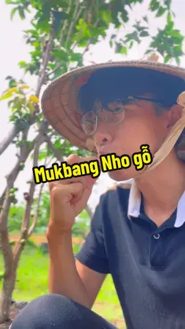 Nho thân gỗ ăn là sún lỗ😂 #hienonha 
