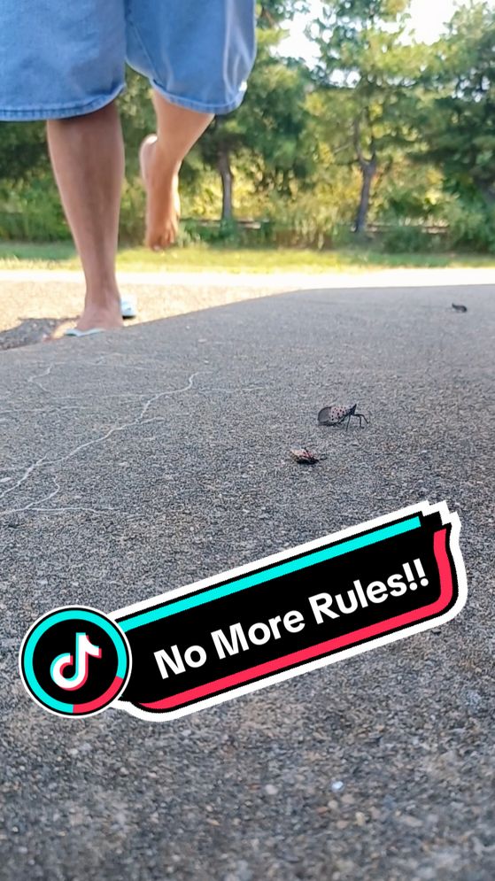 Back to the basics! 🪲🦶🏻😊 Chad's #1 way of relieving  trama is saving trees from the invasive spotted lanternfly. Just the way these guys feel as they pop under the soles of my feet just unwinds my nerves and makes me feel like I'm serving the planet because these bugs are harmful to trees~ #reels #fyp #viral #instagood #blogger #artistsoninstagram #goodvibes #spottedlanternfly #bigfeet #asmr #memes #epic #412 #pgh #MentalHealth #wrinkles #Vlog