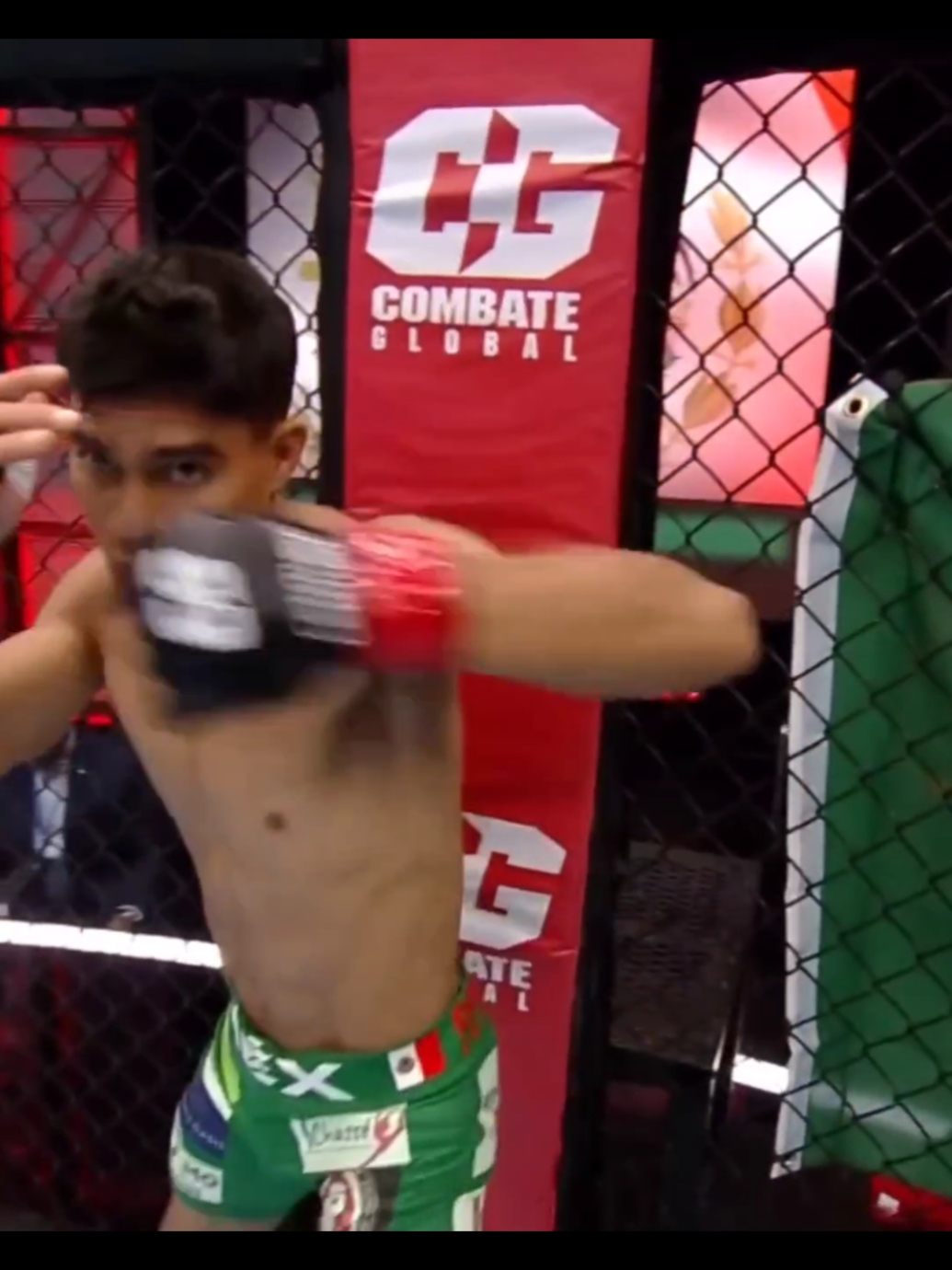#Mexico🇲🇽 #vs #chile🇨🇱  #artesmarcialesmixtas #mma #viral #UFC #latam 