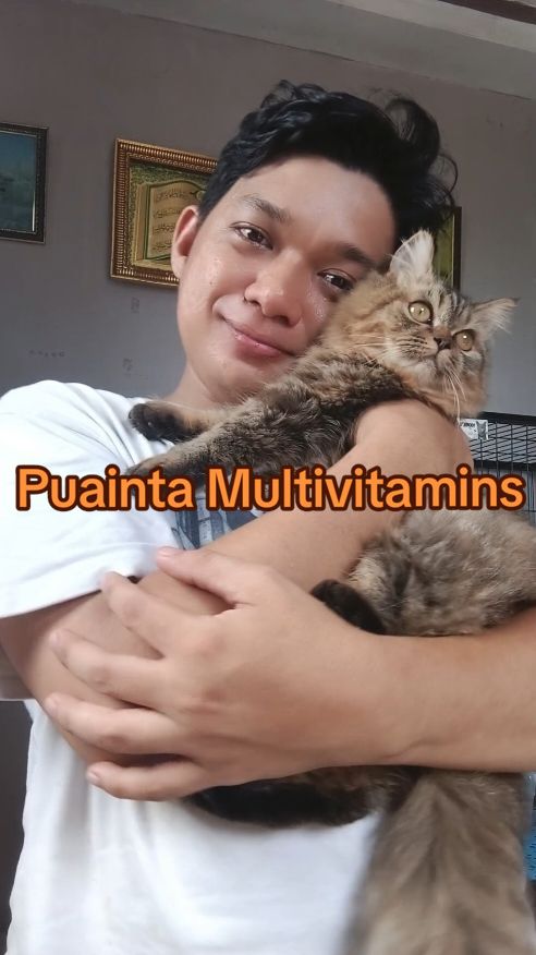 Order Your Puainta Multivitamins To Your Cats and Dogs #puainta #puaintamultivitamins #cat #catlover #catsoftiktok #fyp  #trending 