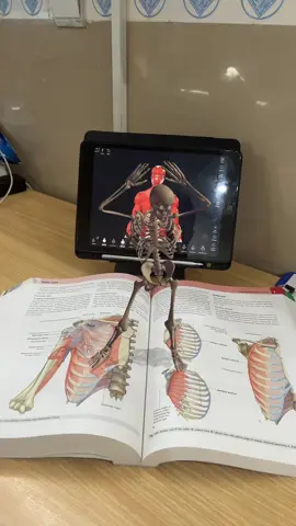 التشريح تحت السيطره #كلية_الطب #medicalstudent #medicine #student 