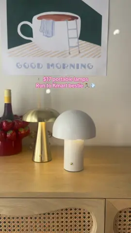 So cute and what a bargain! @kmart australia 💡🍄💗 . . . . . . #kmartfinds #kmartaustralia #kmarthome #portablelamps #Home #homedecor 