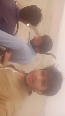 #fypシ゚viral🖤tiktok #grow #plzsupport #❤️ #❤️ #pindanaly🦅 #growmyaccount✅♥️♥️♥️ #horselovers❤️🐎❤️ #viralvideo #growmyaccount❤️❤️ #growmyaccount❤️❤️ #growmyaccount❤️❤️ #foryourpageofficiall2024✅😍😍 #standinthal #FYPシ゚viral #pindanally🦅 #❤️🥳😍🥰💯💋 