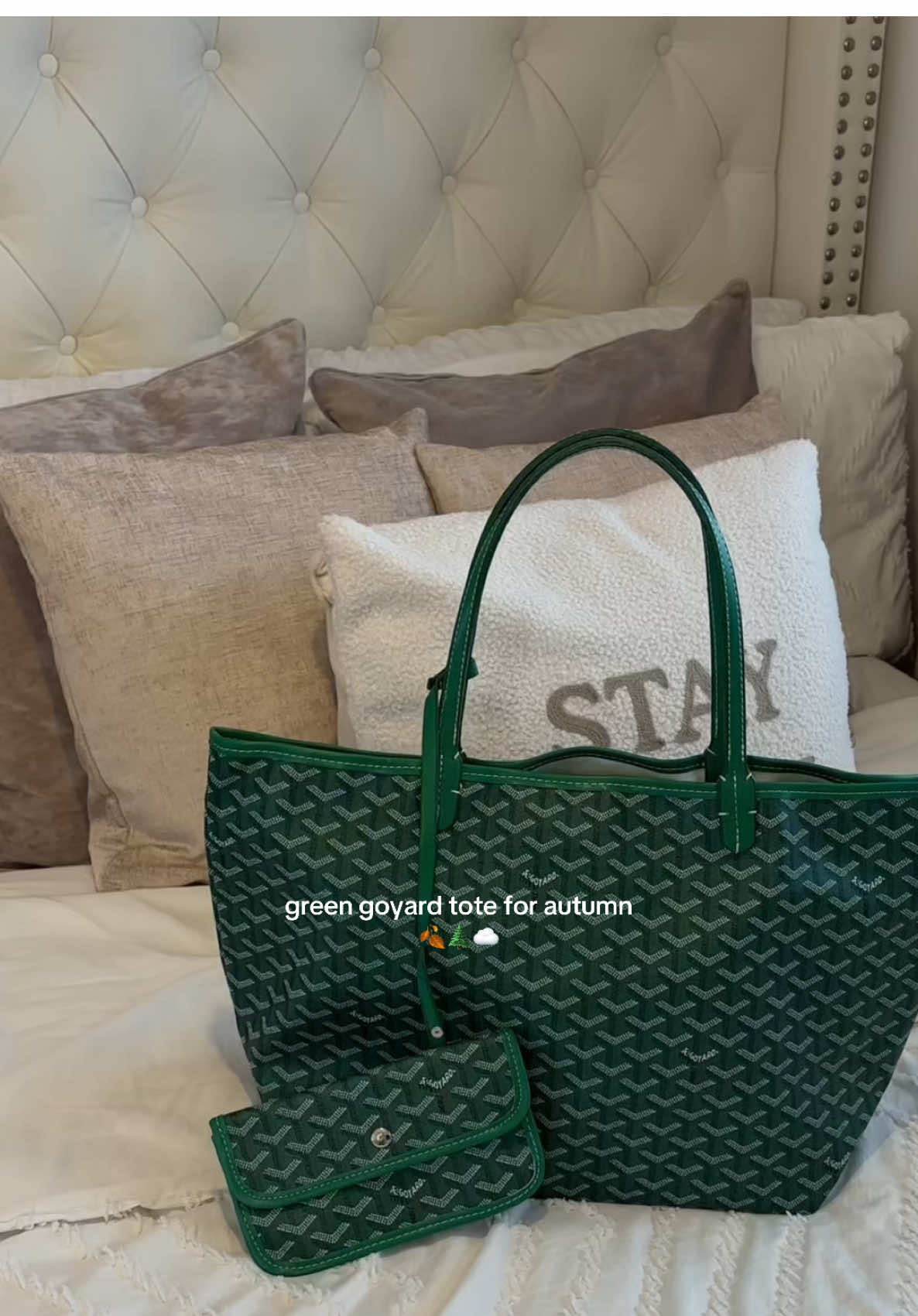 Perfect autumnal tote bag 🍂🌲☁️ #totebag #goyard #goyardtote #autumnbag #handbag #autumnhandbags #autumn 