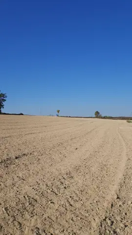 #ចង់បានប្ដីមែន #foryou #fypシ゚🤣 