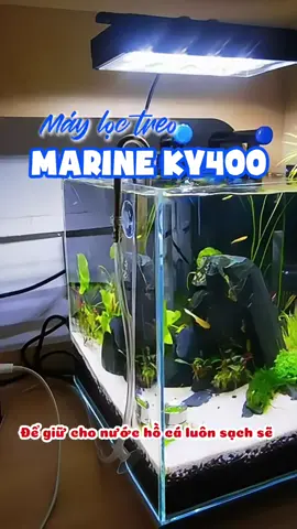Máy lọc treo marine, đầy đủ vật liệu lọc. #nuoicacungminhkhoi #caythuysinh #aquarium #fishtok #thuysinh #hothuysinh #becacanh 