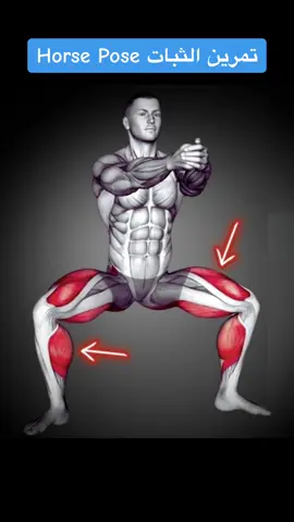 Horse Pose for Beginner #beginner #yoga #pose #athome #viral #fyp #foryou #foryoupage #tiktok 