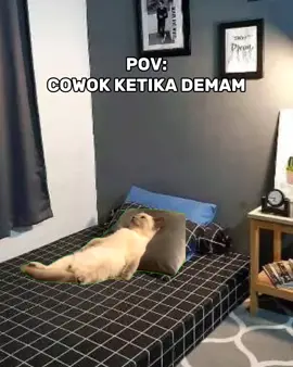 cowok ketika demam😹 #fyp #memekucing #kucing #kucinglucu #fyppppppppppppppppppppppp #pencitakucing #kucingtiktok 