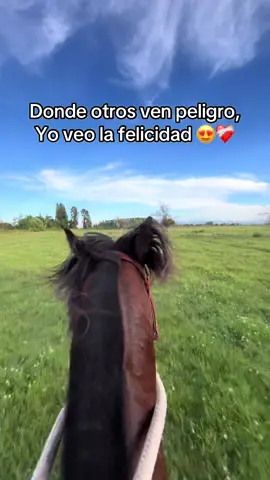❤️‍🩹 #parati #caballos #viral #campo #fyp #huaso 