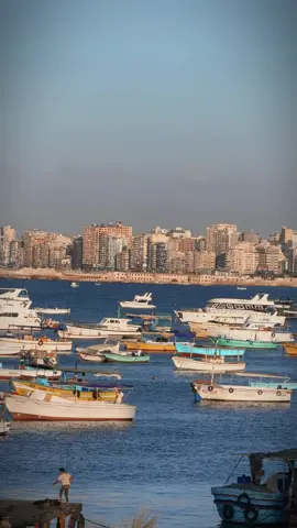 اه يا ليل أسكندرية لملمنا ونبي 😍 عيش أجمل أجواء أسكندرية بجد عند ياقوت و بأسعار زمااان ❤ #yakout_seafood #seafood