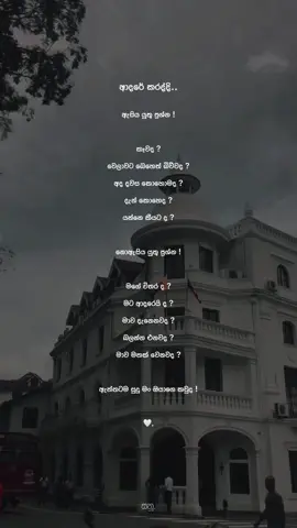 🤍 #foryou #fyp #fypシ #viral #sinhalaquotes #sanuu_🤍🥀✨ 