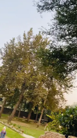 دروازی سرا تر غاری دروازی و تا دا چا #🤐🤐💔غم کی جڑ ہے دروازے .🙄🙄 #❣️❤🙌🏻 haddd kary