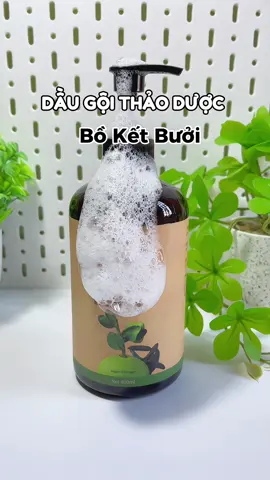 Dầu gội thảo dược bồ kết bưởi #daugoithaoduoc #giotlanh #daugoiboketbuoi #daugoigiotlanh #xuhuong #fyp #foryou #trending 